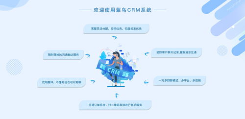 電商行業(yè)CRM云客服管理系統(tǒng)選哪家？紫鳥(niǎo)云客服——互聯(lián)網(wǎng)信息技術(shù)服務(wù)的卓越選擇